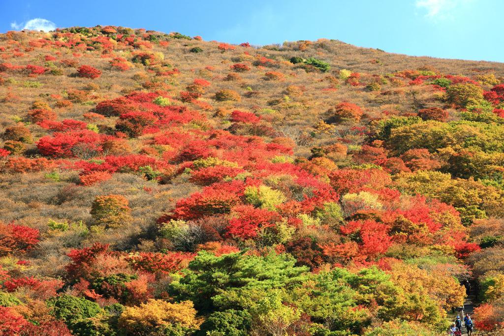 ホテル スパ・グリネス 九重町 エクステリア 写真